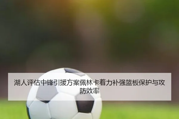 湖人评估中锋引援方案佩林卡着力补强篮板保护与攻防效率